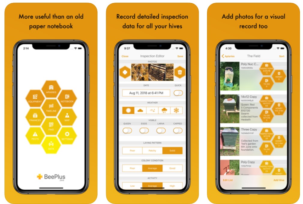 10 Best Beekeeping Apps For Android And IOS - REGENDUS